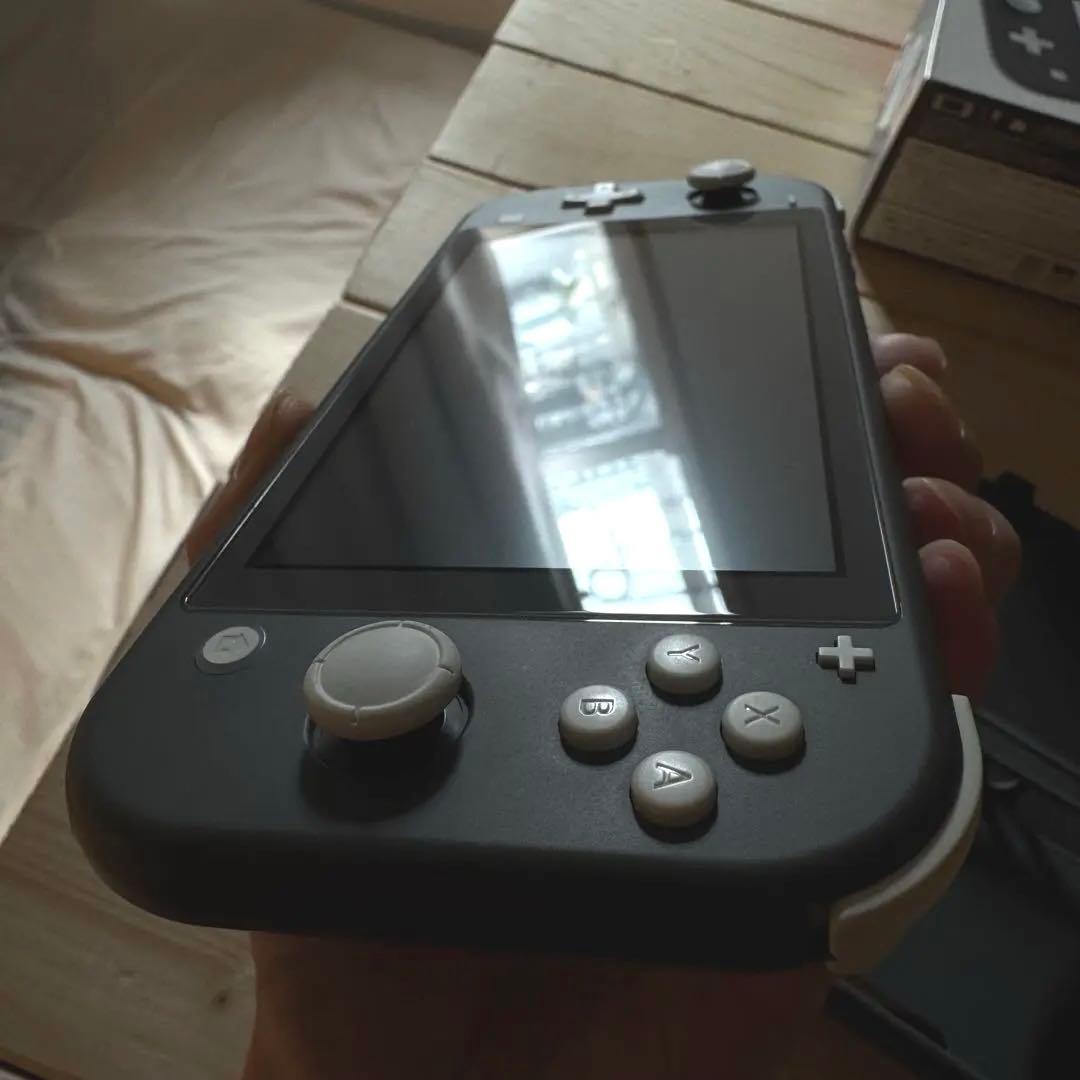 Nintendo Switch Lite グレー本体、アダプタ、ハードケース付き