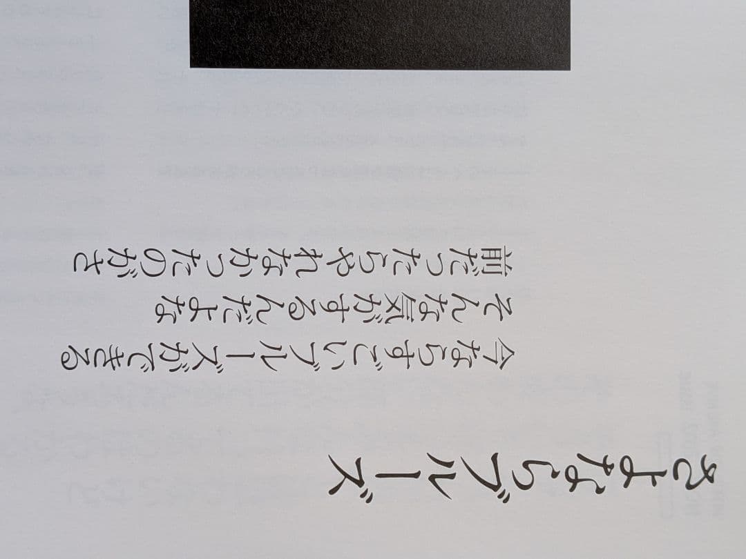別冊　音楽と人　チバユウスケ　The Birthday　写真　uv　BREATH