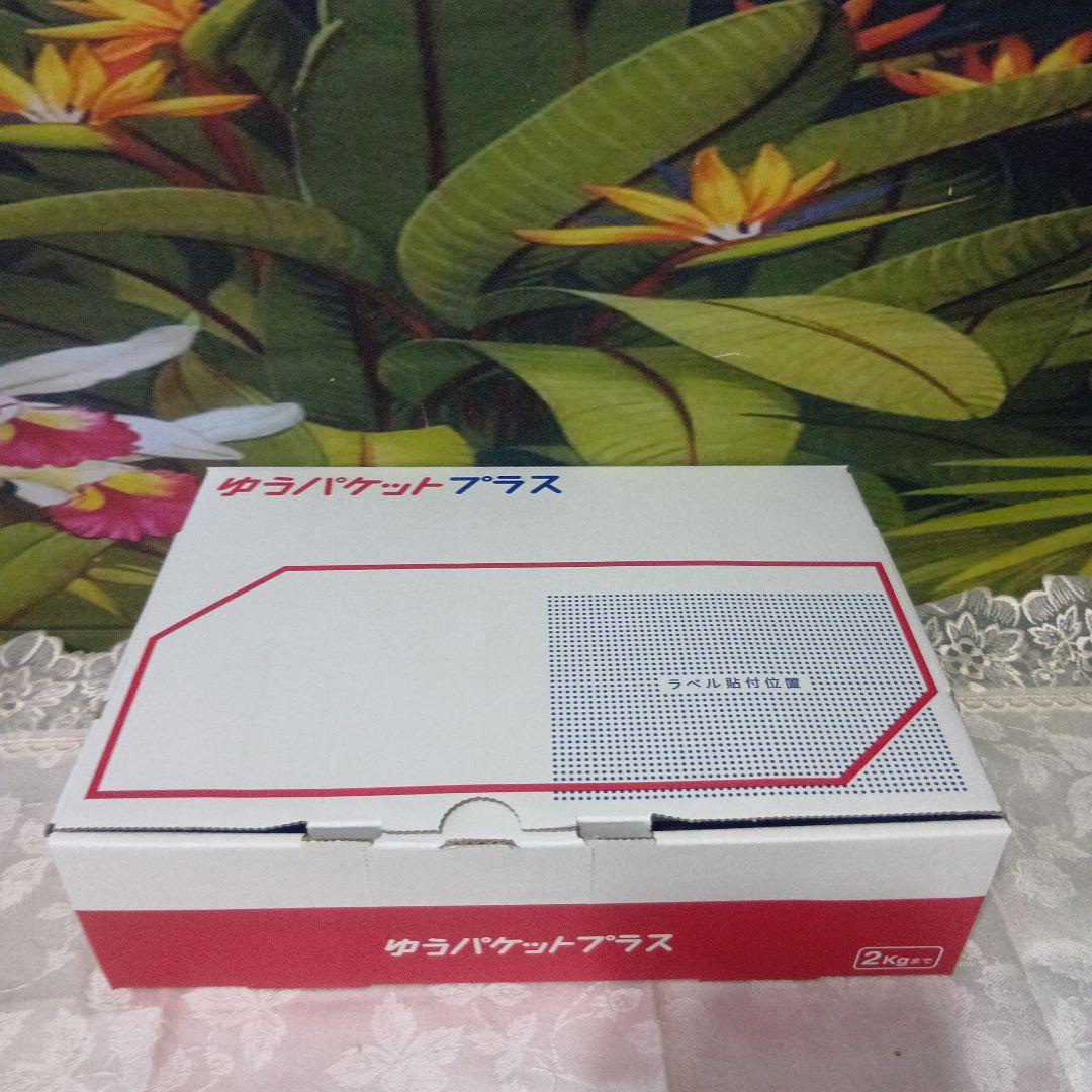 ☆ La VILLA VITA Repair シャンプー&ムース＋リボンターバン
