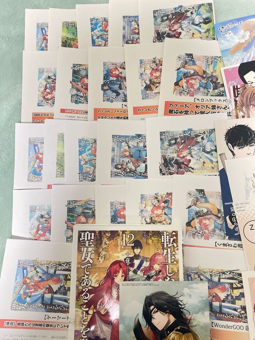 【新品】転生した大聖女は、聖女であることをひた隠す 12巻