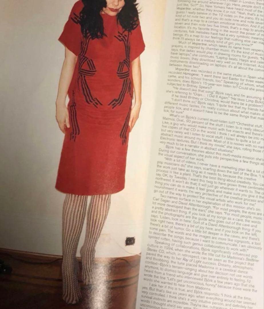 アート・デザイン・音楽 NYLON Magazine June/July 2001 Bjork