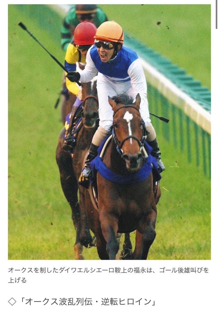 か*N様 【★激レアアイテム★】2004オークス優勝記念　ダイワエルシエーロ　非
