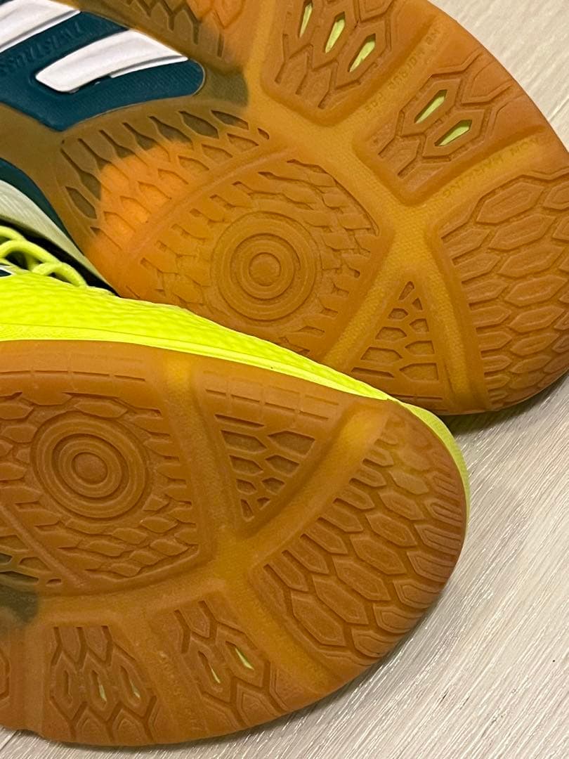 asicsローテジャパンバレーボールシューズ 24.5