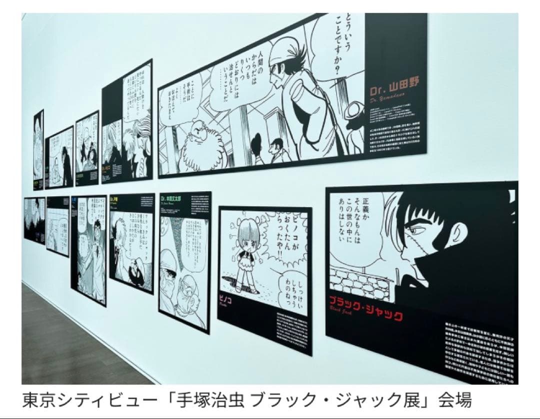 ブラックジャック全25巻　全巻初版　グラシン紙カバー