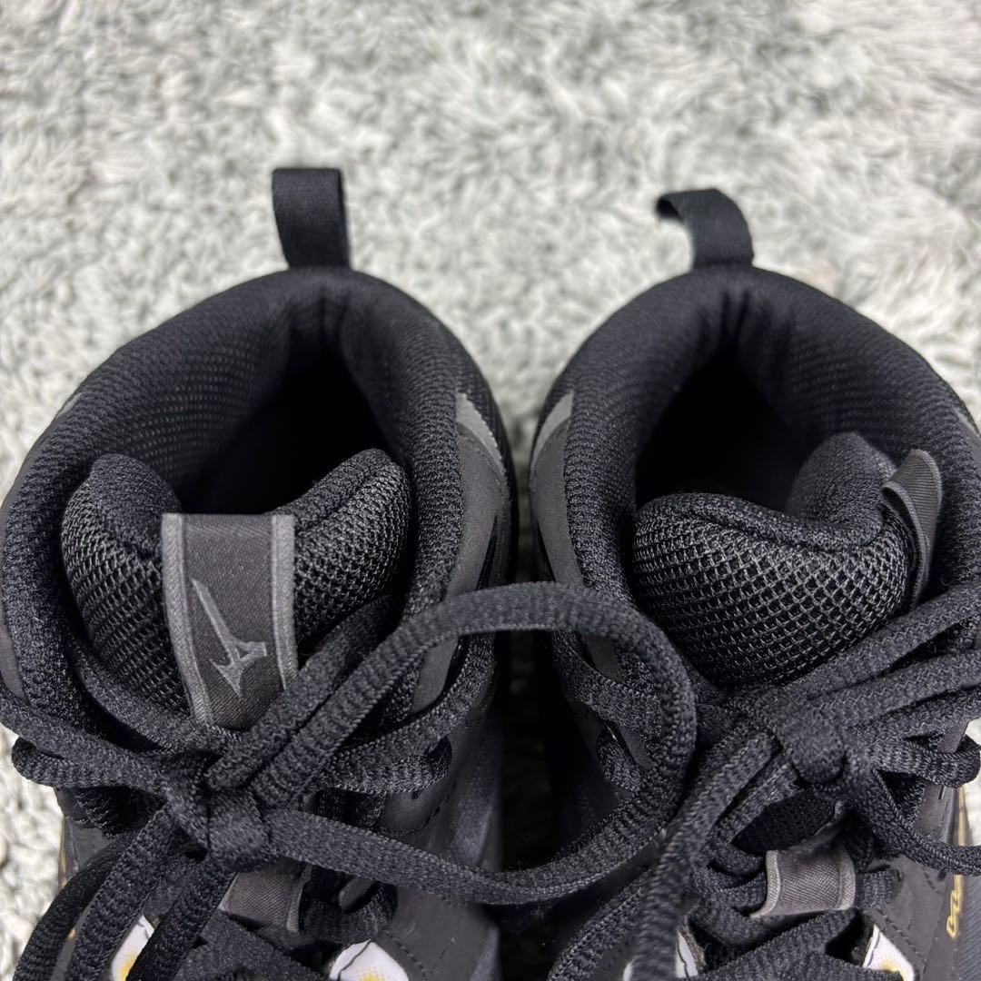 Mizuno Wave Dancer 24 JP ブラックシューズ 中古