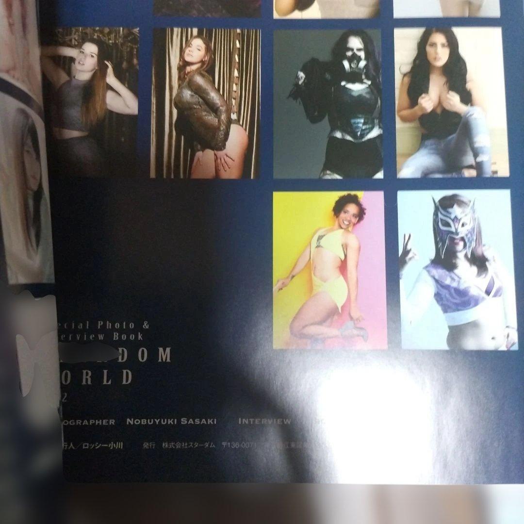 STARDOMWORLD、VOL1、VOL2、VOL3、VOL4紫雷イオ