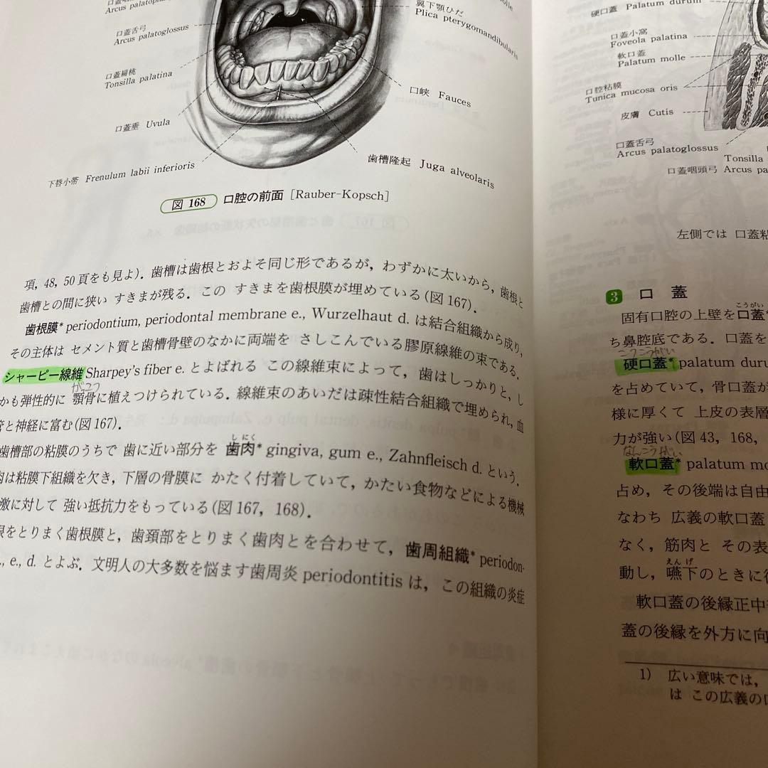 人体解剖学