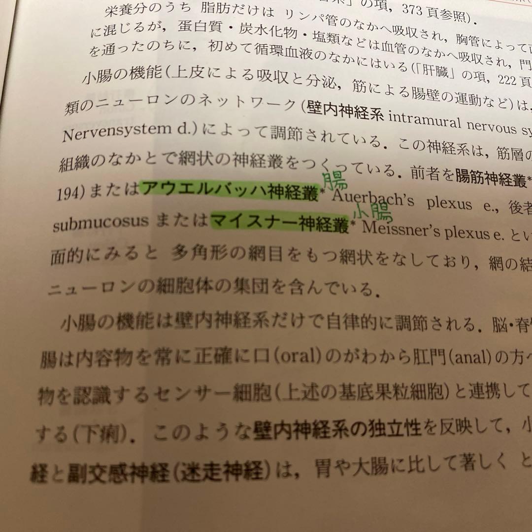 人体解剖学