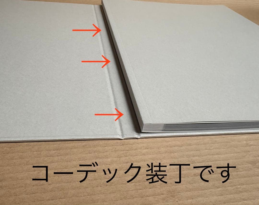 限定700部 ◉ 池本喜巳「On Display」定価8800円◉圧巻の大型本
