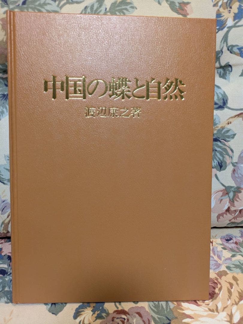 中国の蝶と自然