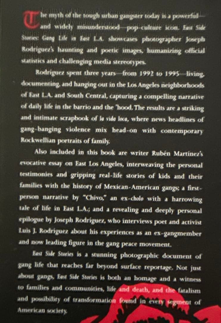 アート・デザイン・音楽 East Side Stories:Gang Life in East L.A.