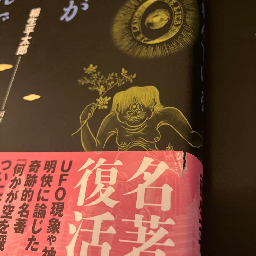 定本 何かが空を飛んでいる　絶版　初版本