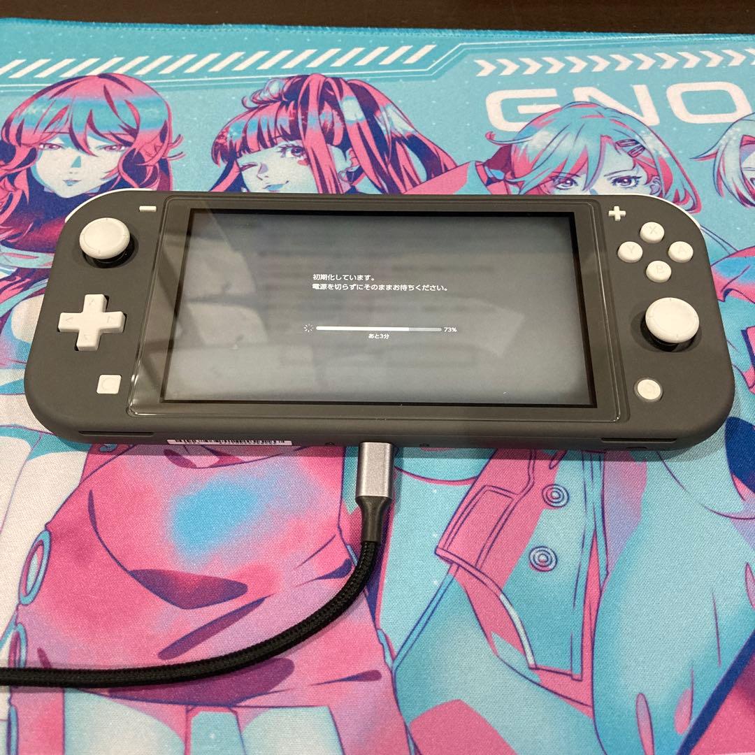 Nintendo Switch Lite グレー