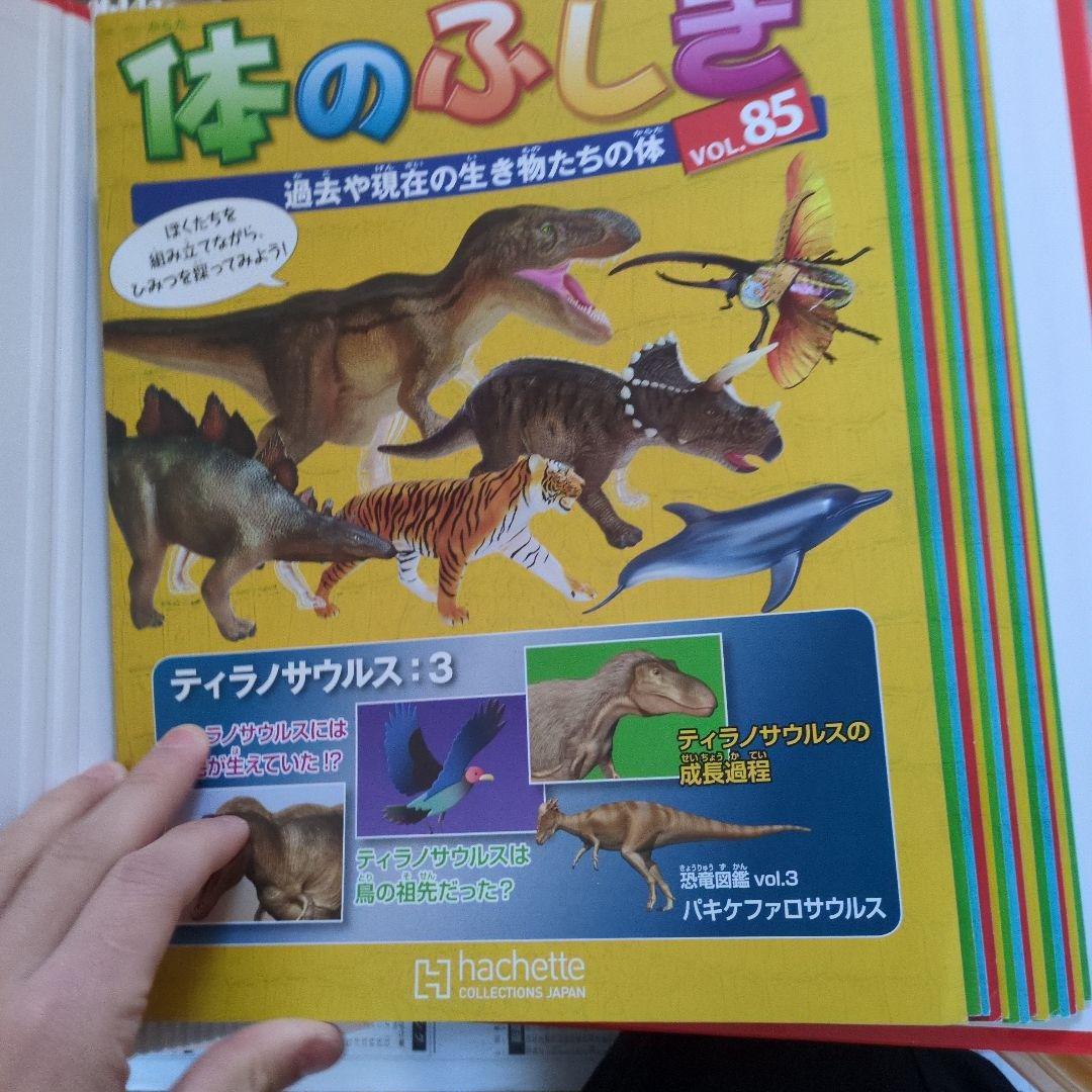 体のふしぎ 八冊セットとその他グッズ 10万円以上使われてると思います