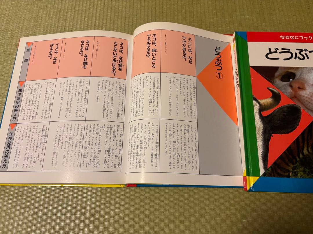 【美品】家庭保育園　なぜなにブック　全22巻セット