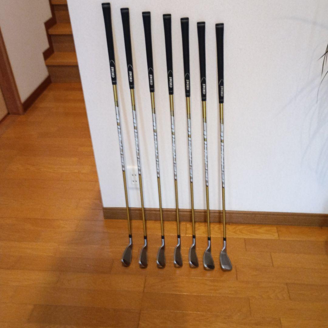 SWORDメンズアイアンセット 6-9 P A S FLEX：R