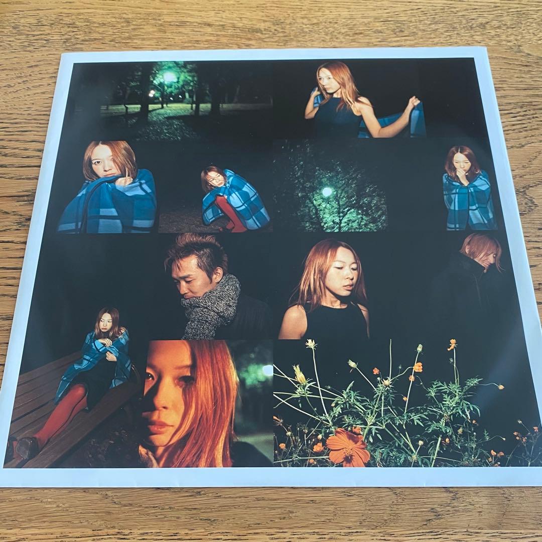 the brilliant green LPレコード2枚セット