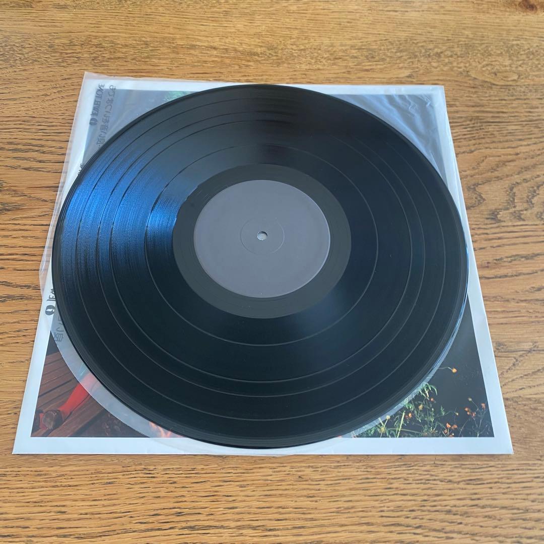 the brilliant green LPレコード2枚セット