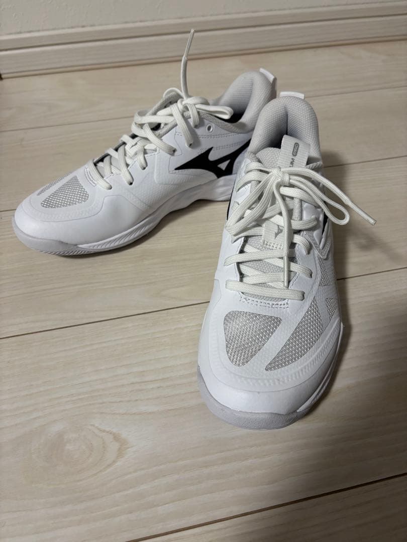 MIZUNOミズノ WAVE MOMENTUM PRO 23.5cm