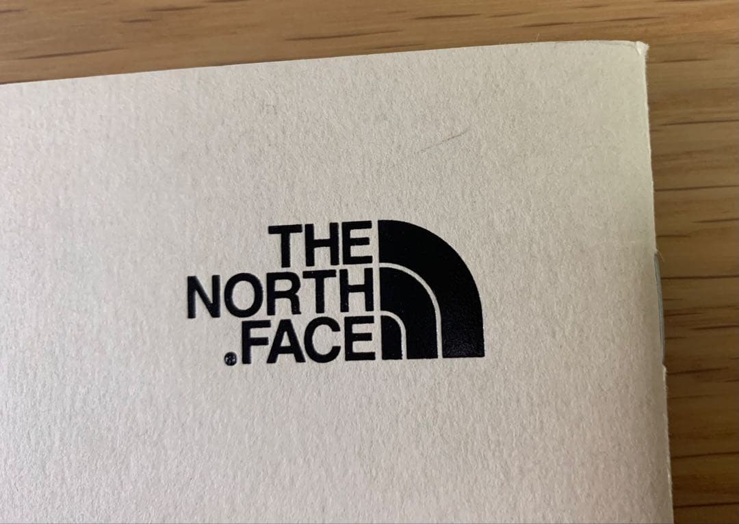 【貴重】仲野太賀 THE NORTH FACE 冊子 ノースフェイス 写真集