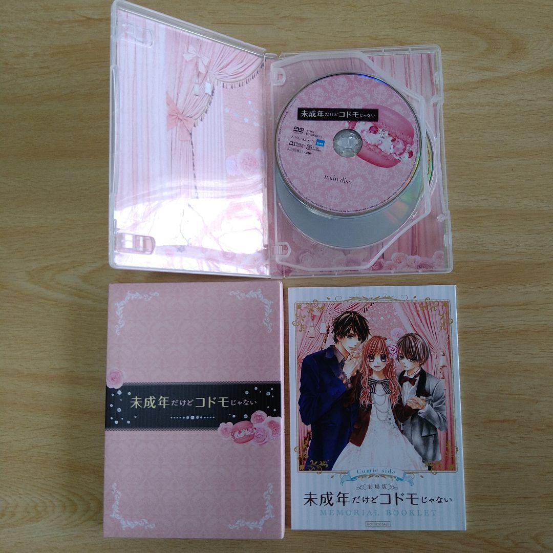少女漫画 少女コミック原作 実写化映画 DVD まとめ売り 17作品セット 邦画