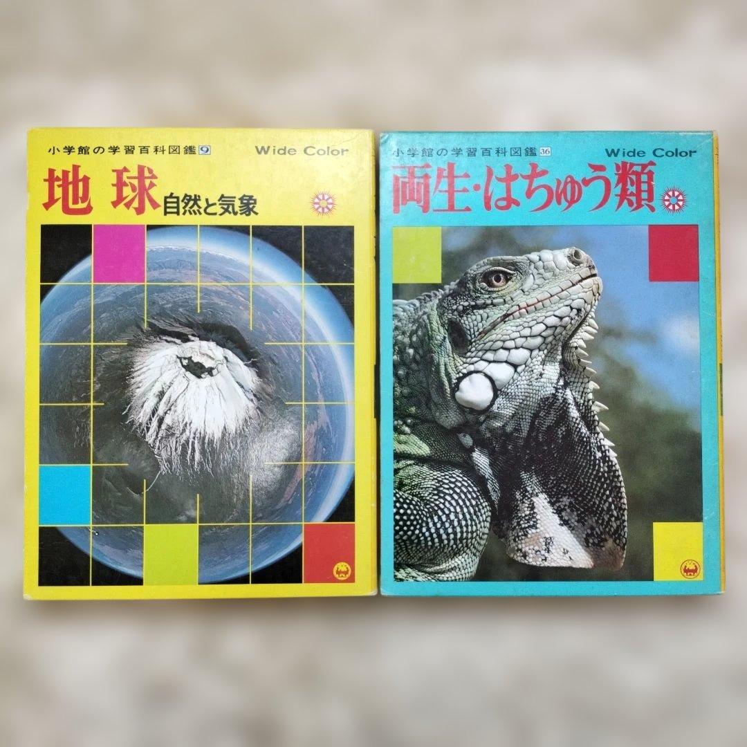 小学館の図鑑NEO☆２１世紀こども百科☆１８冊セット