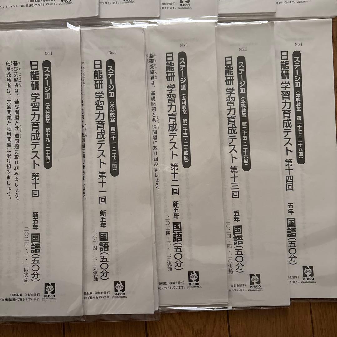 日能研 育成テスト 2024年前期10-19回