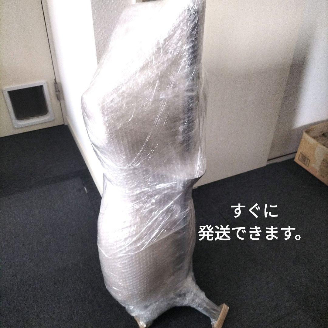 TOKYOKIYAレディーストルソー9号