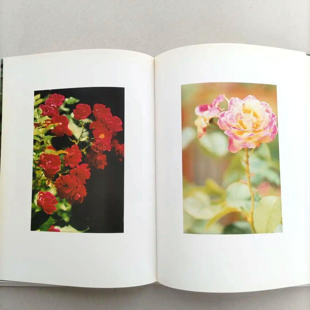 thomas struth:Dandelion Room/写真集 作品集 洋書