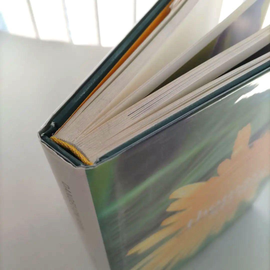 thomas struth:Dandelion Room/写真集 作品集 洋書