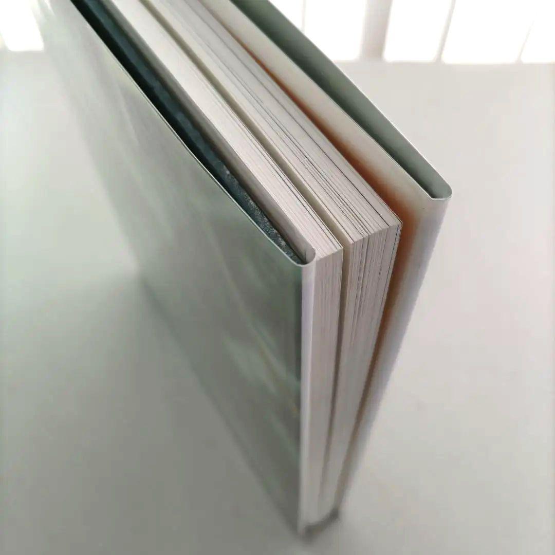 thomas struth:Dandelion Room/写真集 作品集 洋書