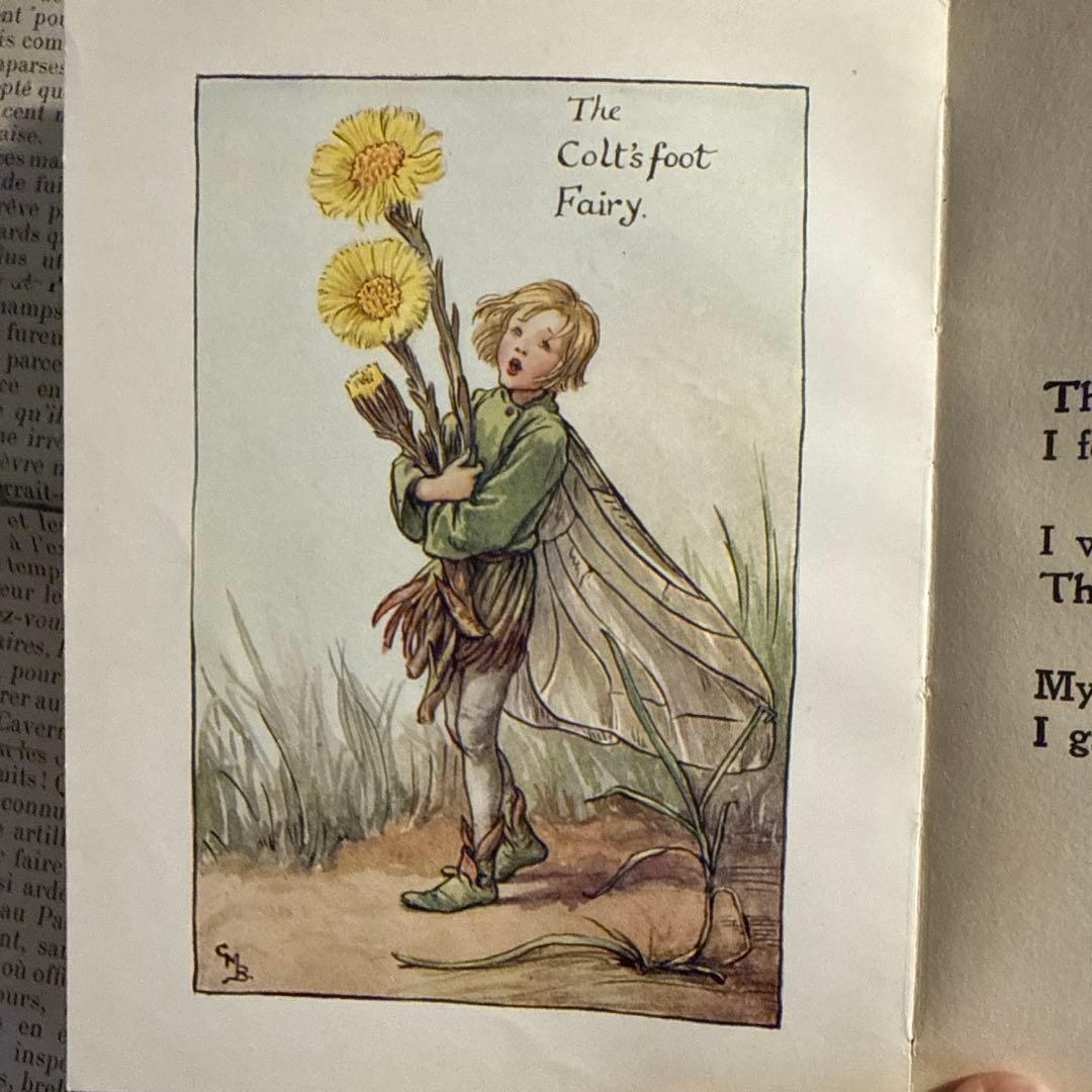 美品アンティーク美しい挿絵イギリス絵本 洋書 古書 妖精ジャンクジャーナル児童書