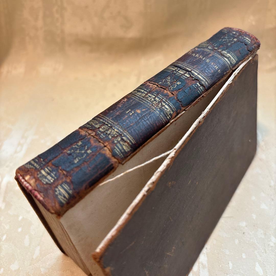 アンティーク　ビンテージ　フランス語　洋書　古書　洋古書