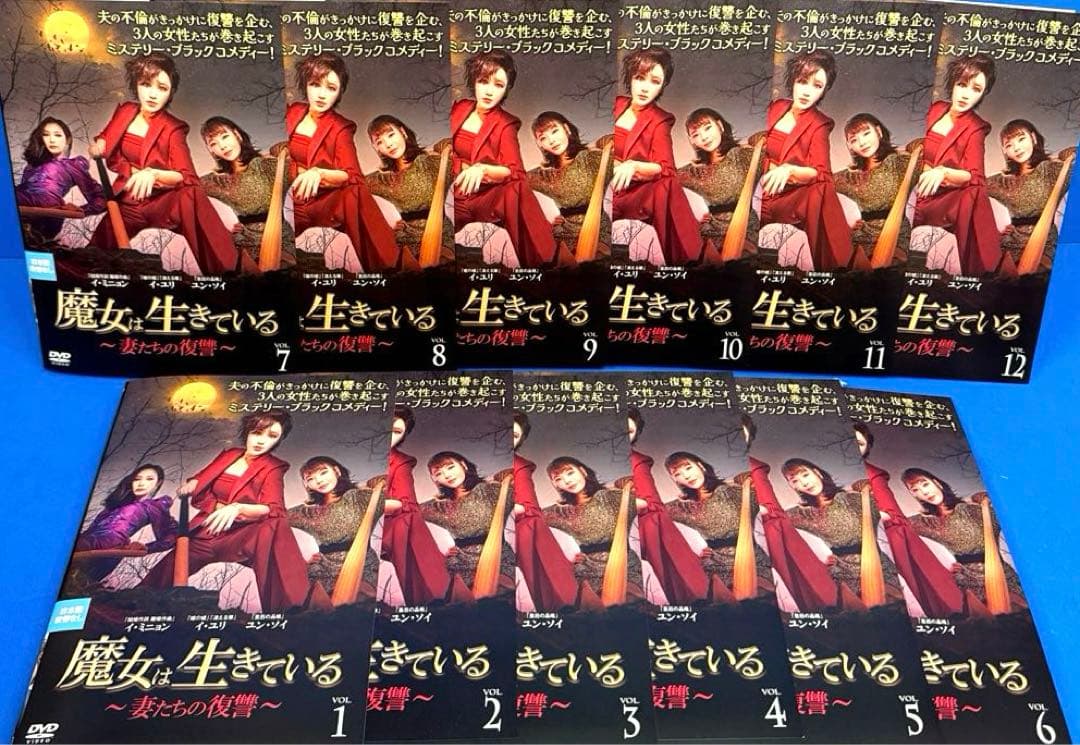 魔女は生きている〜妻たちの復讐〜 DVD 全12巻 イ・ユリ / イ・ミニョン