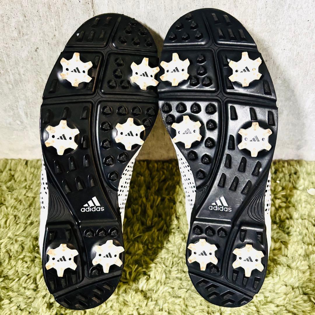 美品 ウィルソン ティアラ レディース ゴルフクラブセット 初心者向け
