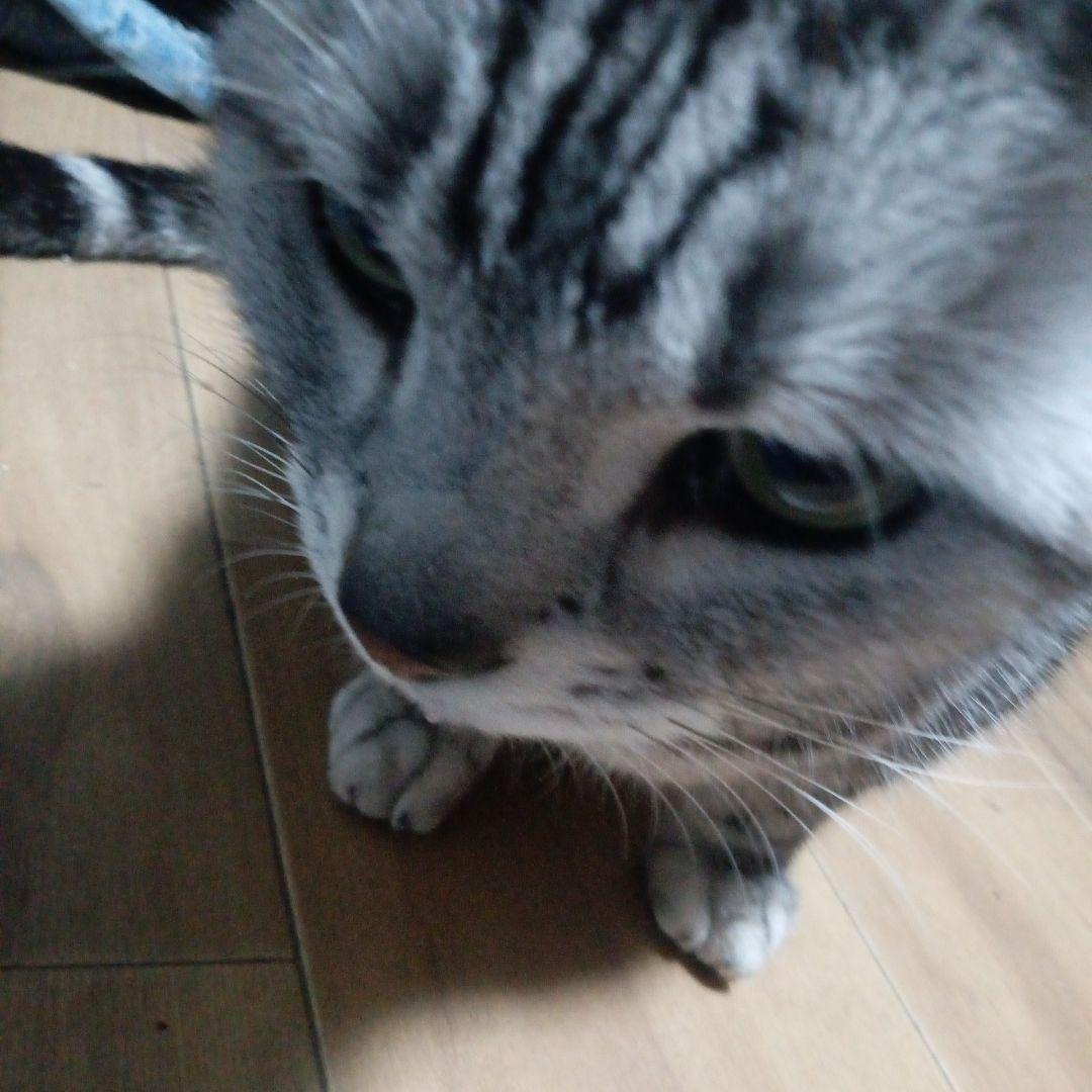Sancezz パンツ bboy