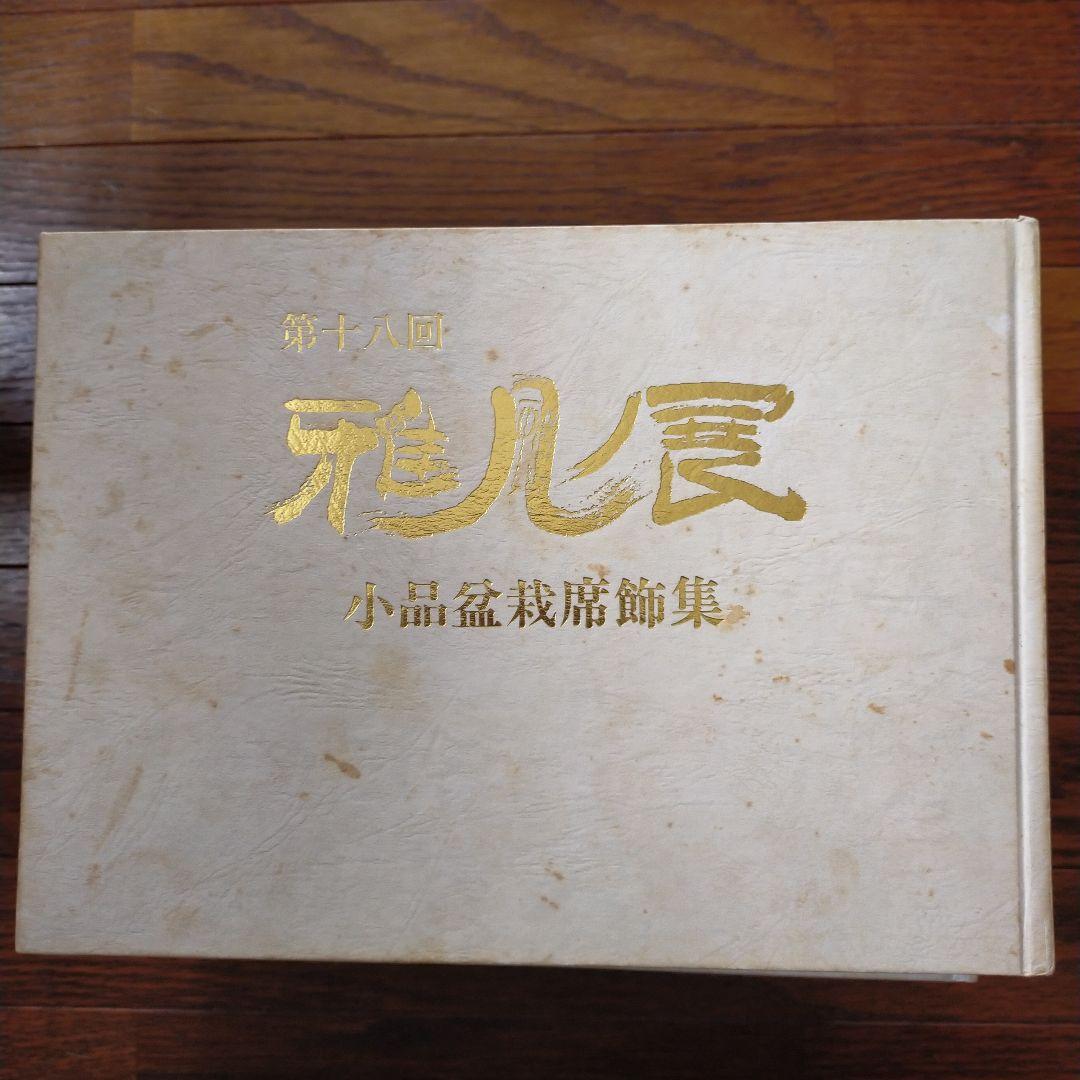 雅風展