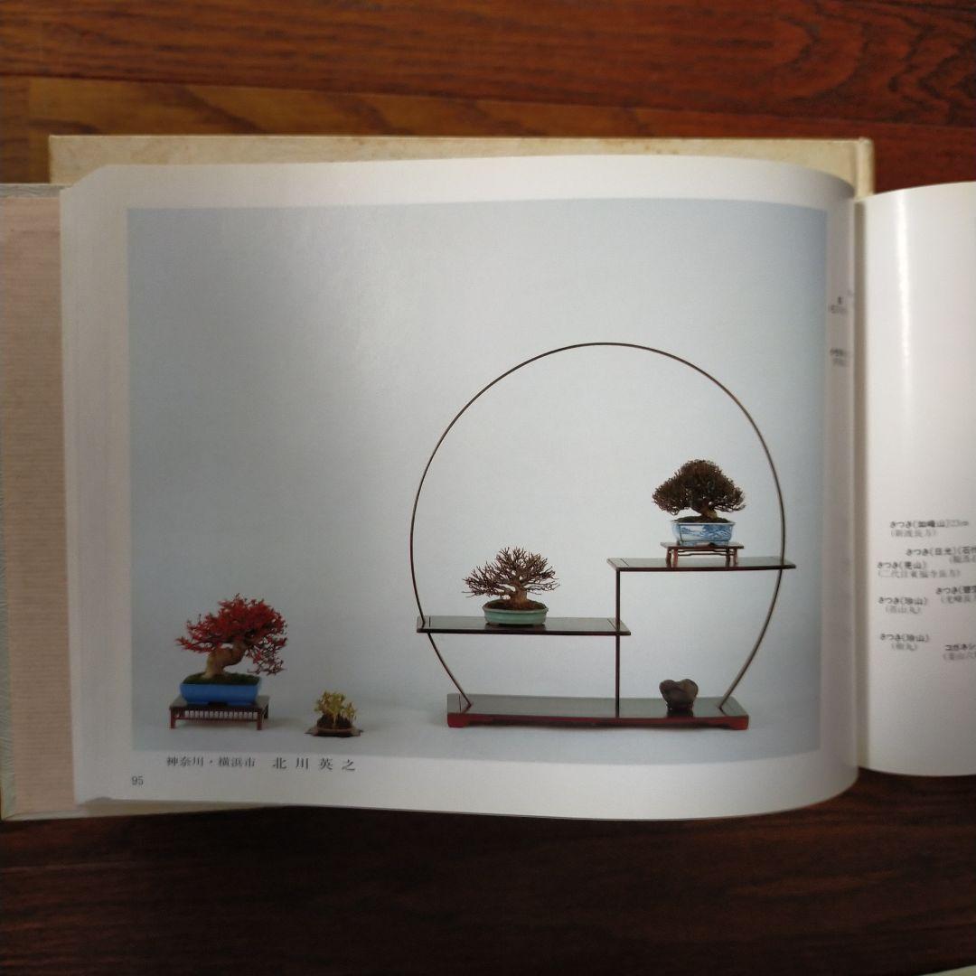 雅風展