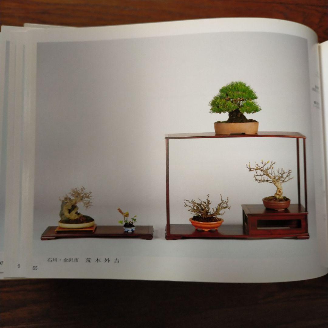 雅風展