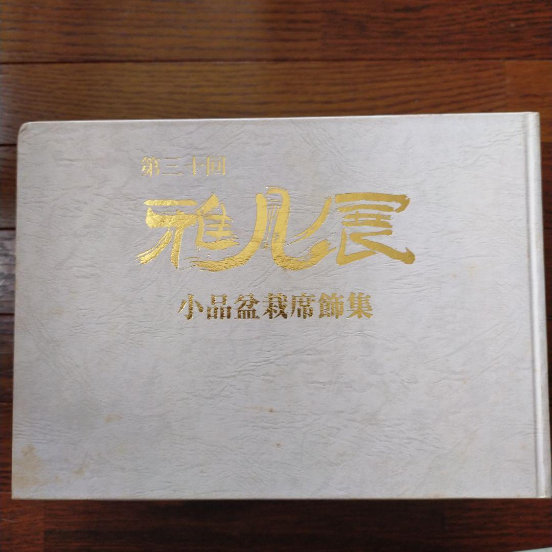 雅風展