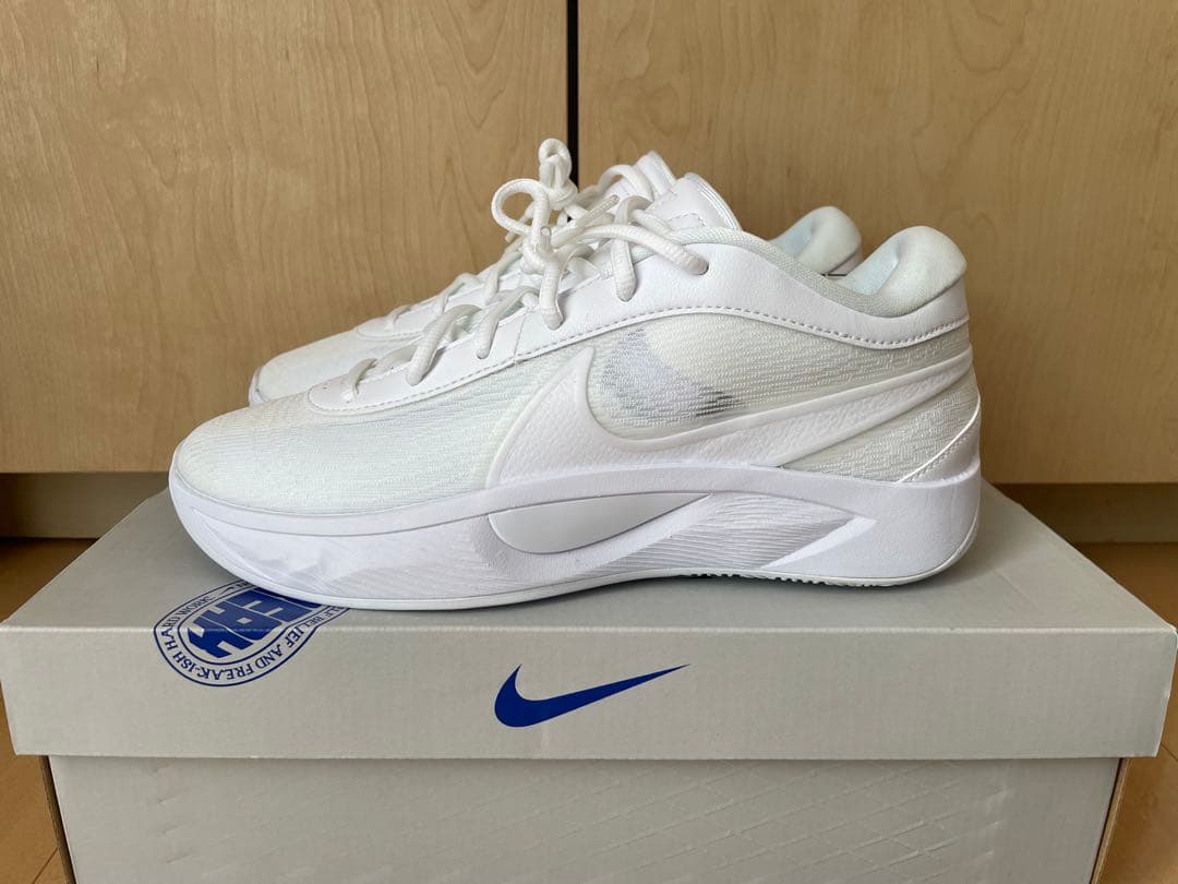 【新品未使用】Nike ナイキ ヤニス フリーク6 EP 25cm 箱 タグ付
