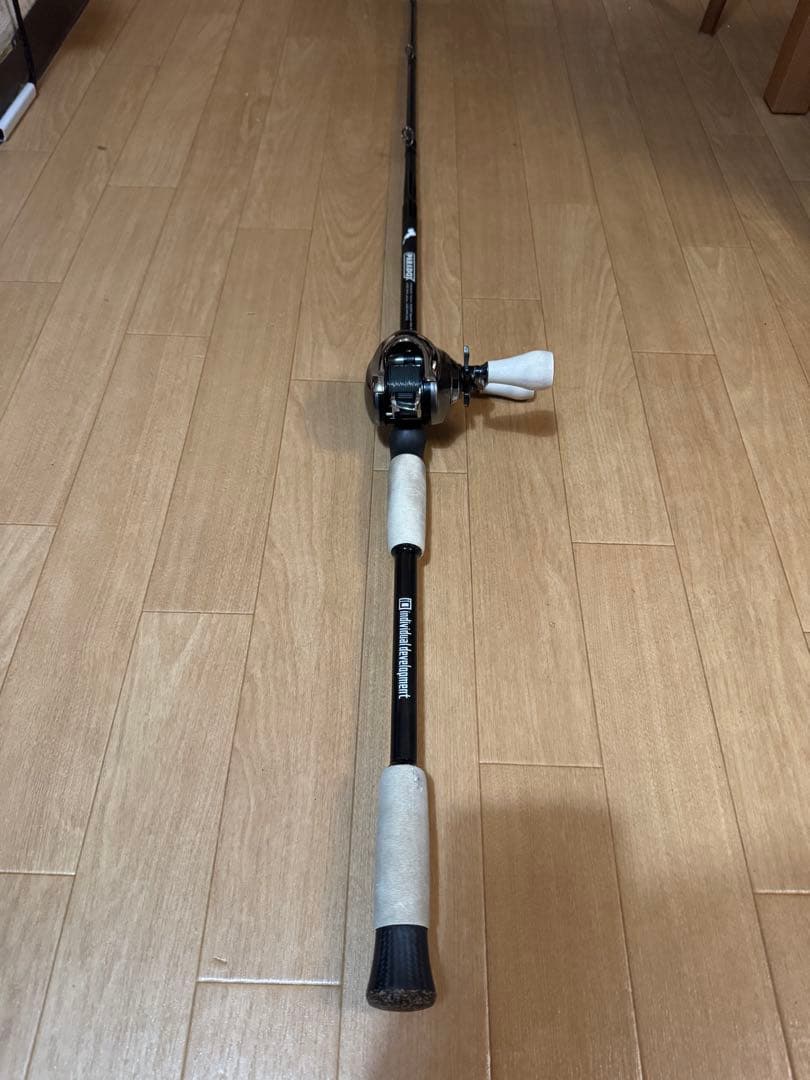individual development パラドックス