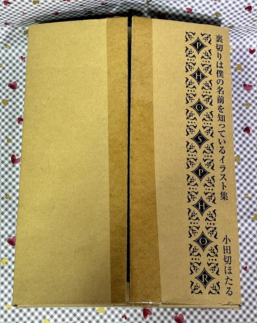 裏切りは僕の名前を知っている DVD 画集 漫画 付録