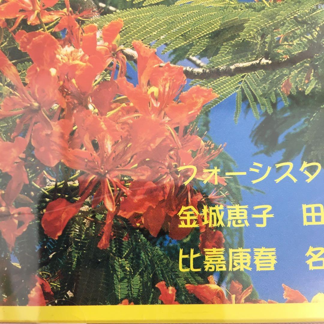 【D17936】沖縄のうた入門