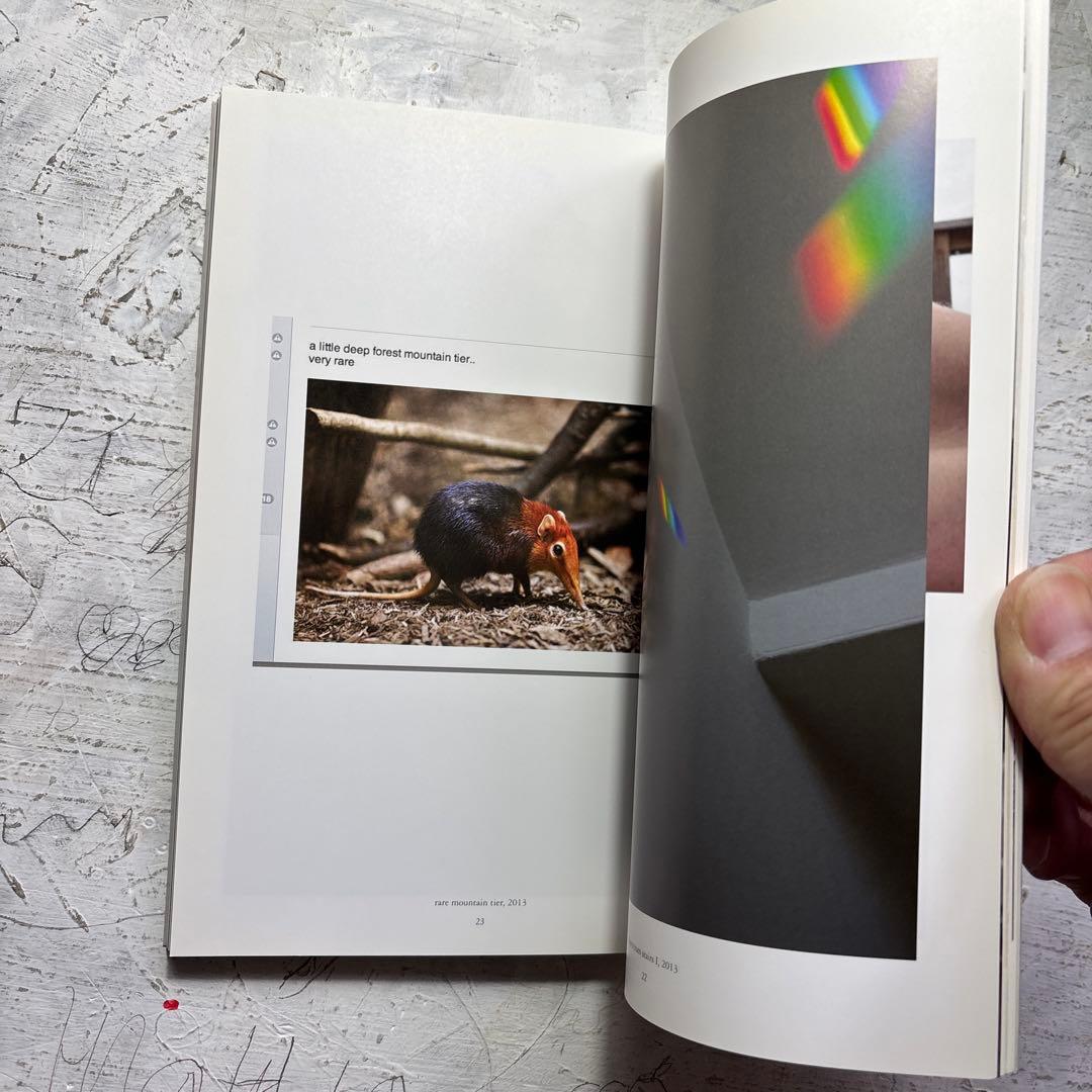 洋書 Wolfgang Tillmans Wako Book 5