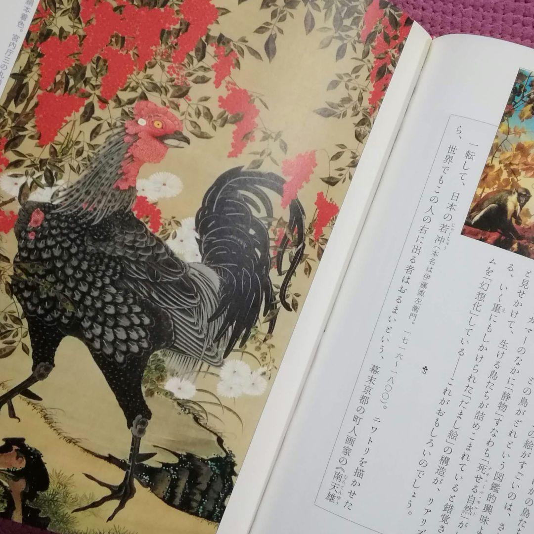 奇景の図像学　綺想迷画大全　中野美代子　人間の想像力　視る快楽　面白ヴィジュアル