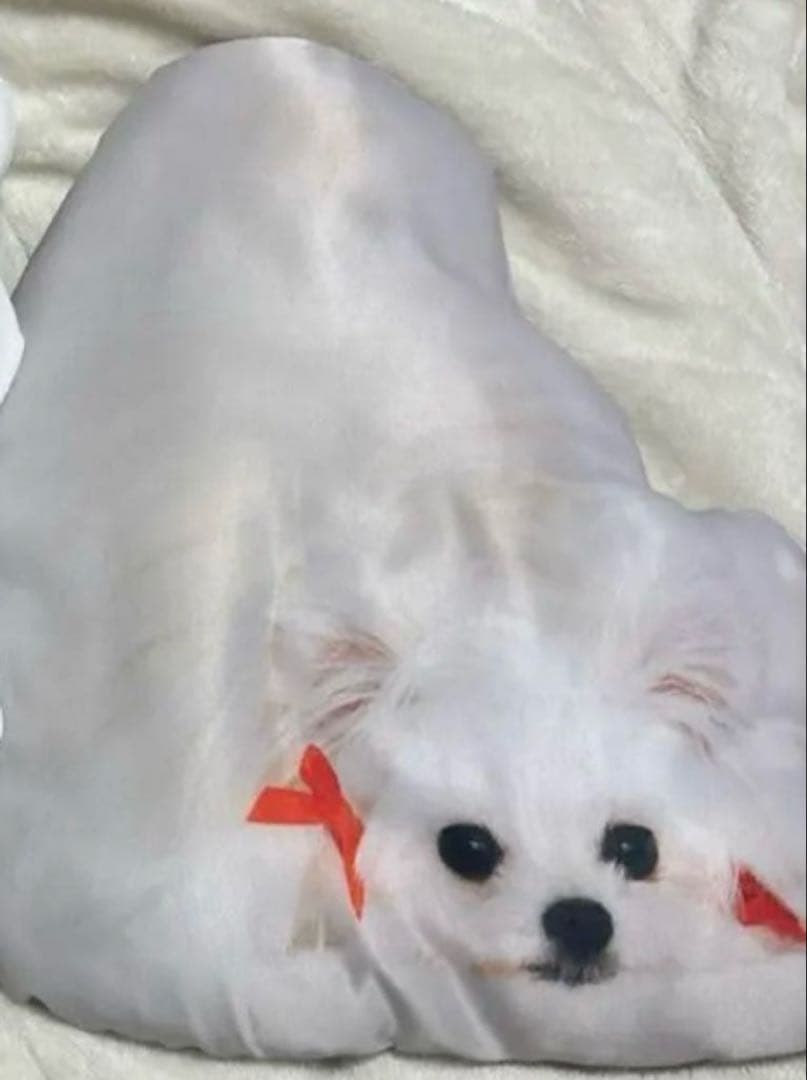 かわいーぬ　かわいーぬちゃん　クッション