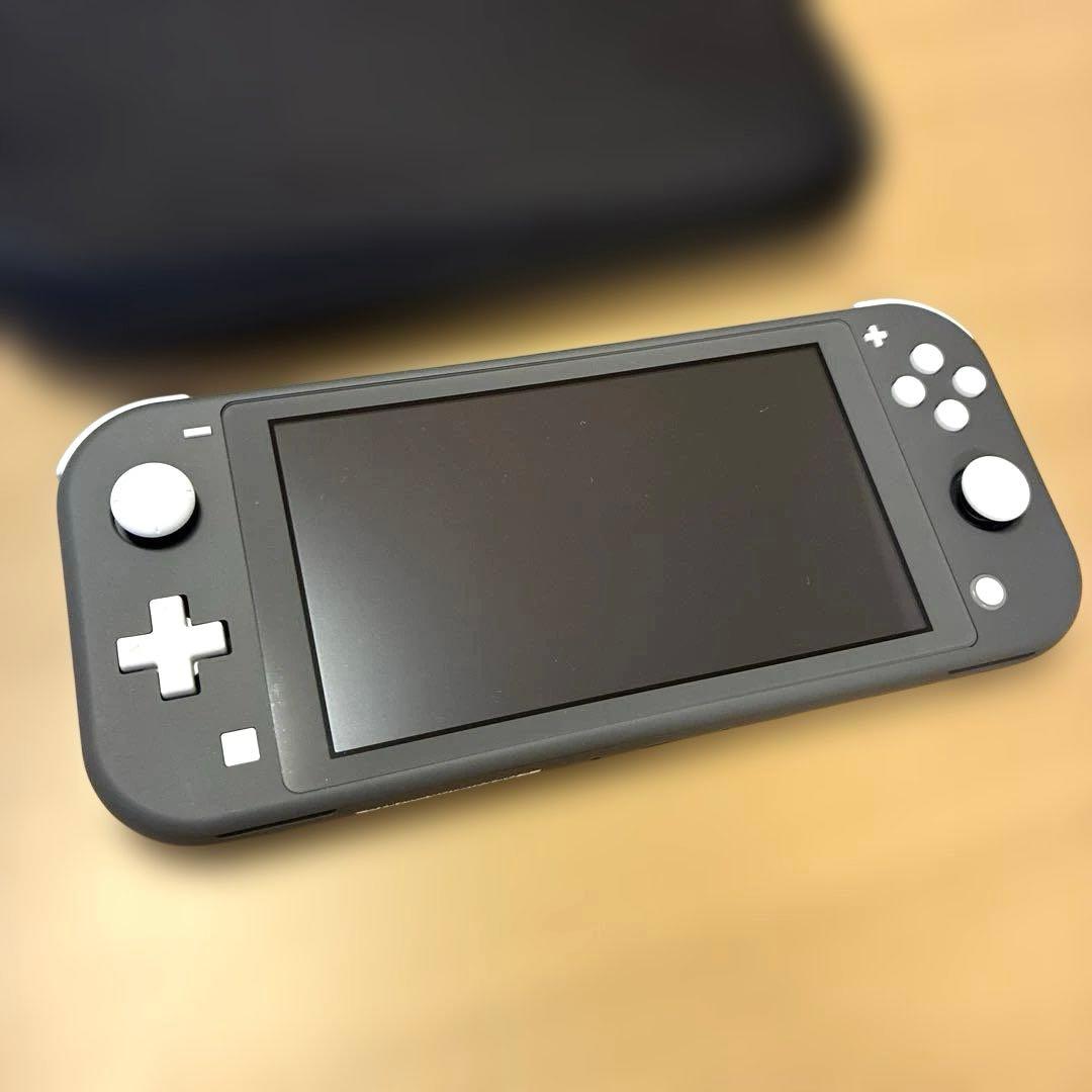 【ケース付き】Nintendo Switch Lite グレー 本体　動作確認済