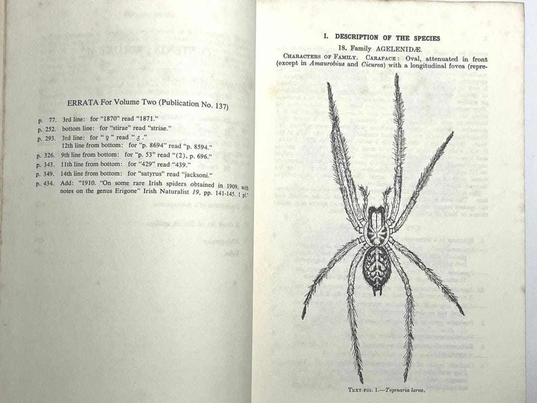 ⭕️新価格⭕️★BRITISH SPIDERS I・IIイギリスの蜘蛛図鑑