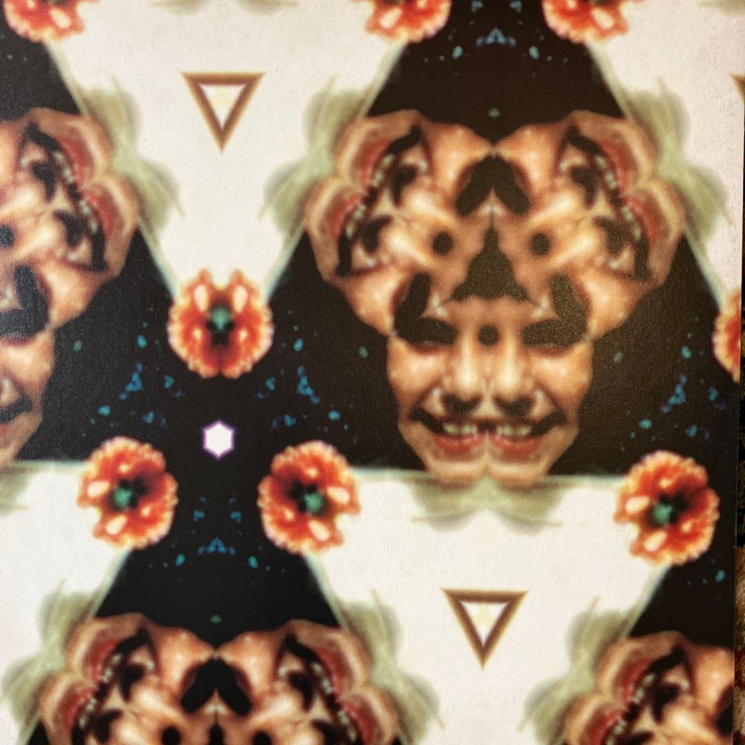 3LP Boards of  Geogaddi レコード